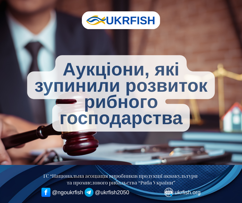 Аукціони, які зупинили розвиток рибного господарства: Чому стабільність важливіша за одноразовий прибуток