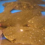 Оливкова камбала - перспективний вид морської аквакультури