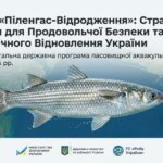 Піленгас Відродження програма