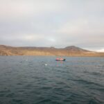 Ставний невод