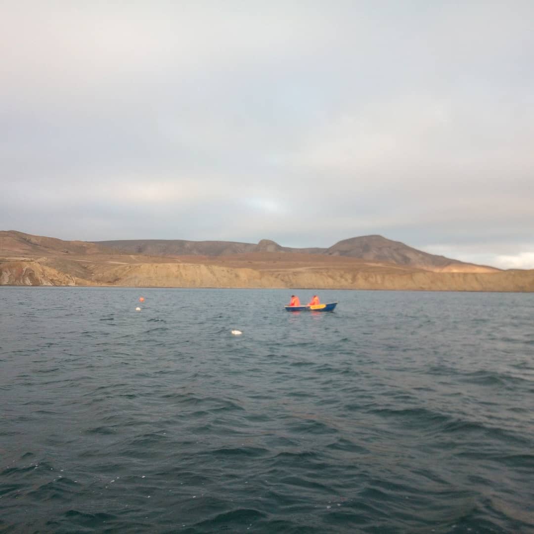 Ставний невод